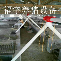 福宇畜牧 自動(dòng)化料線賦能牧場(chǎng)，一次投資開(kāi)啟終身效益新篇章